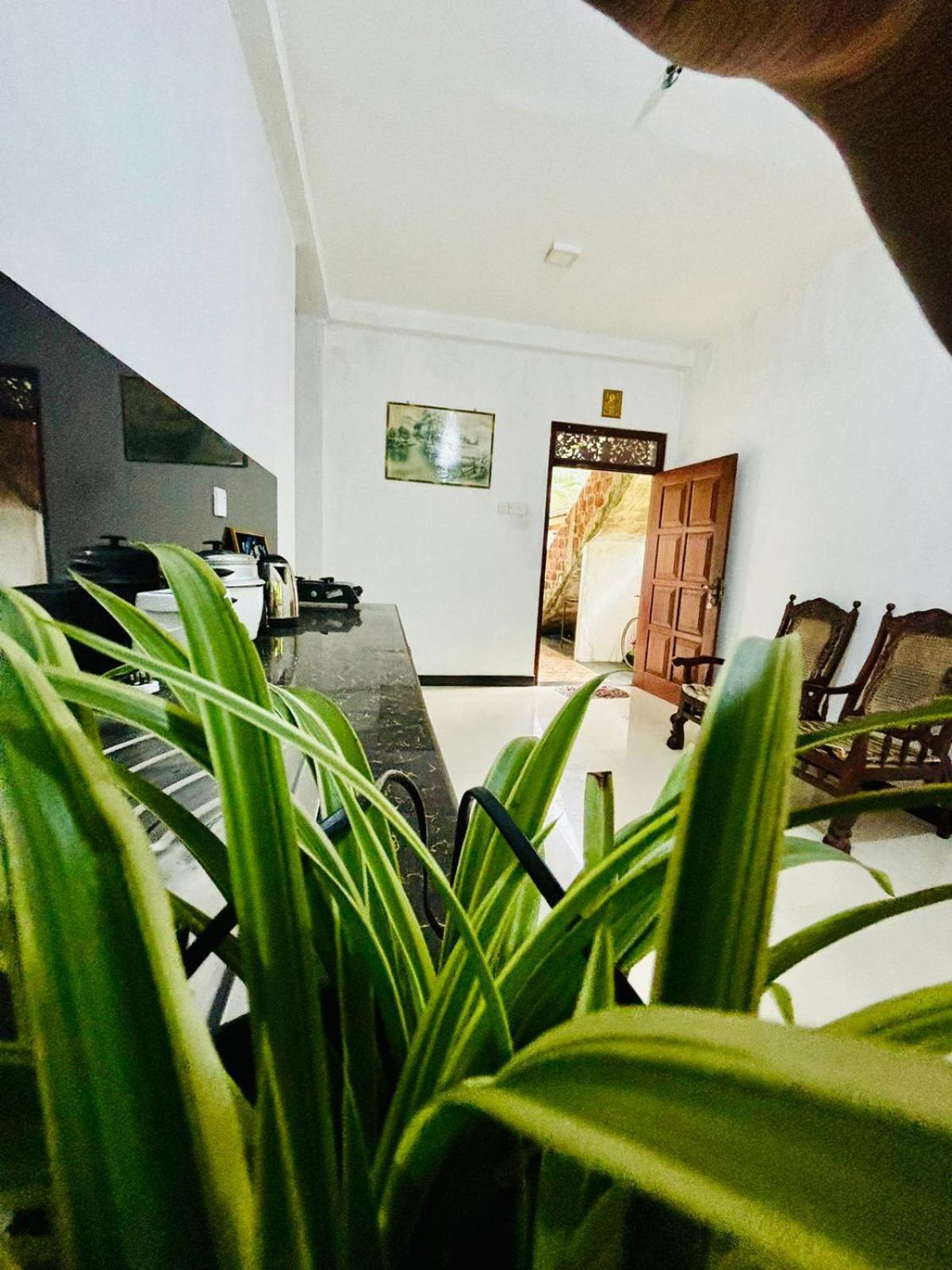 Sanithu Homestay And Villa 高尔 外观 照片